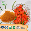 Dried Goji Berry Extract,Chinese organic Wolfberry Extract, High Quality Lycium Chinese Mill Extract